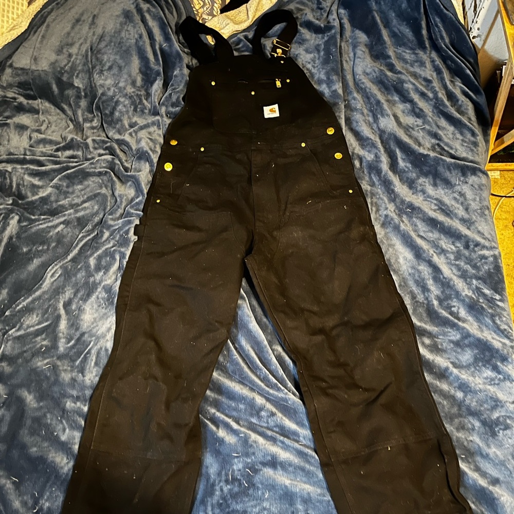 Carhartt Double Knee Overalls Gem
